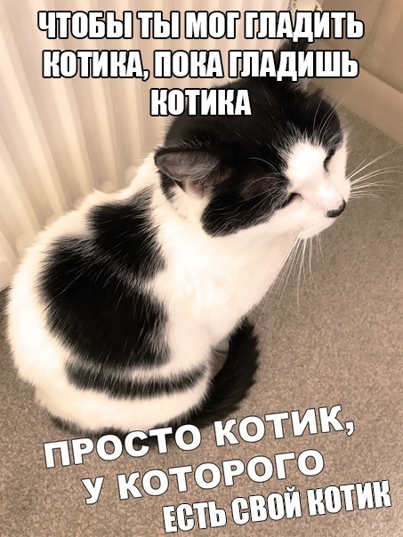 Так себе картинки 29.04.22
