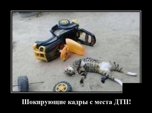 Картинки с надписями 02.07.22
