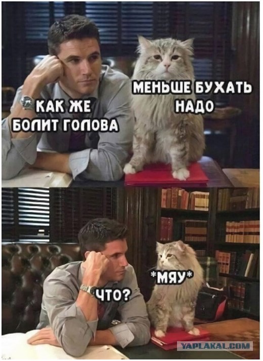 Дебют белочки.