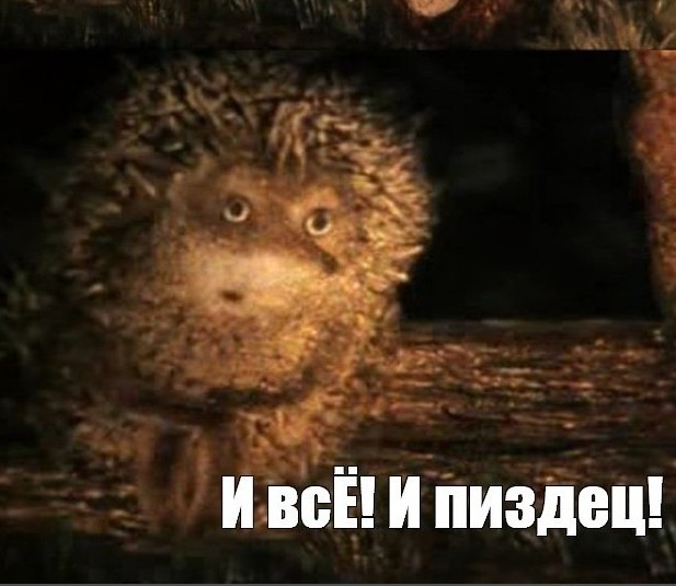 Он что-то хотел показать... но что?