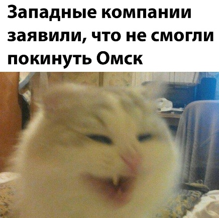 Уступают только слабаки! Никаких компромиссов!