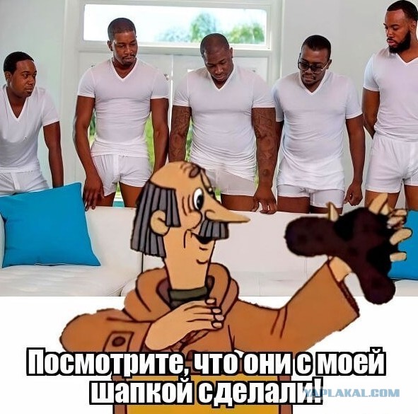 Картинок подвезли