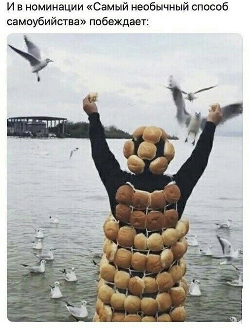 Доставка баянов