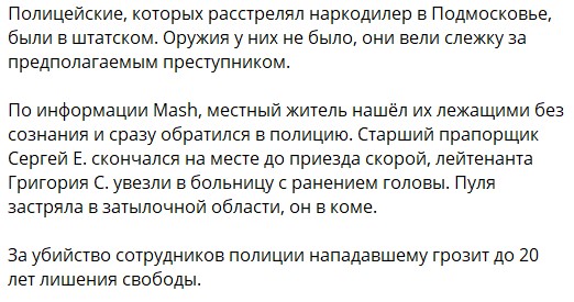 В Подмосковье введен план «Сирена» после убийства полицейского