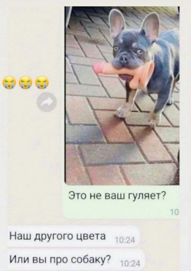 Юмор в картинках и без