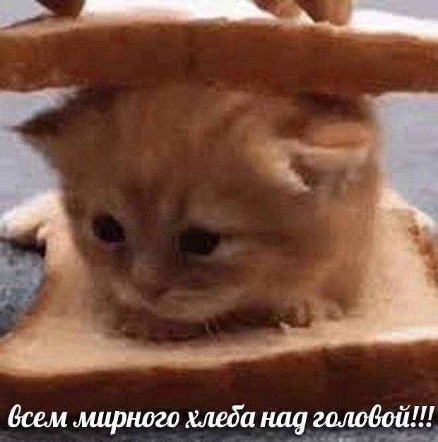 Всего понемногу. От 07.04.2024
