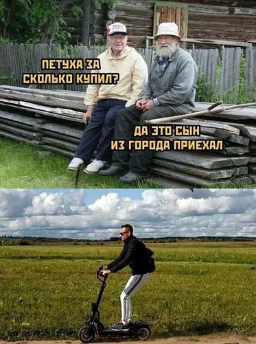 Дятел