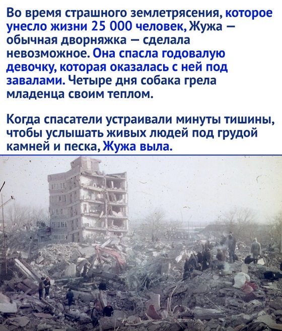 Жужа