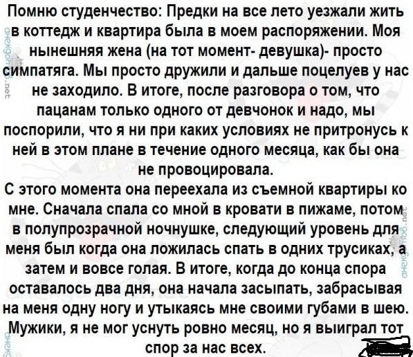 Так себе картинки 25.08.24