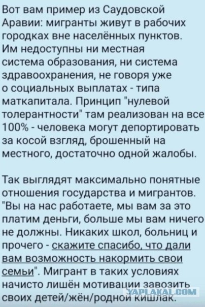 Регнум: пьяный мигрант до смерти забил российскую писательницу Раису Кирсанову