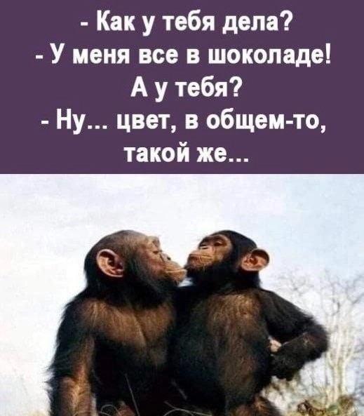 Завалялось тут случайно немного забавных картинок
