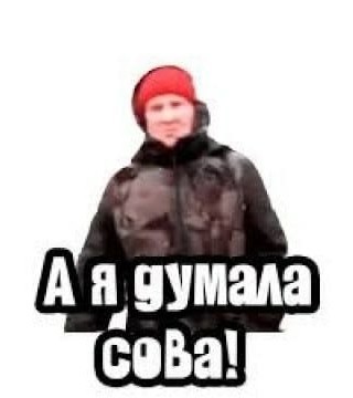 Я тебе покажу туман! Я тебе покажу лошадку!