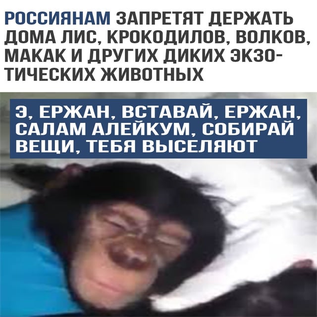 Король Иордании со своей королевой