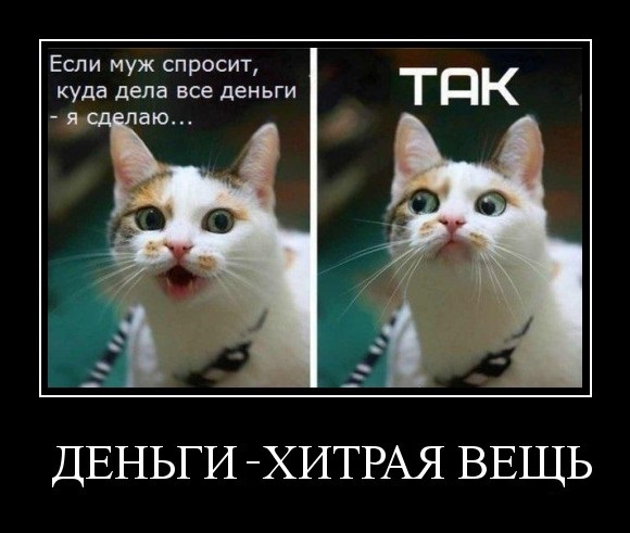 Примерно так же мне жена объясняет куда делись деньги