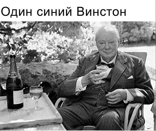 Синий Винстон