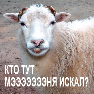 Найди жену на фотографии