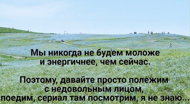 Вылезай, приехали!
