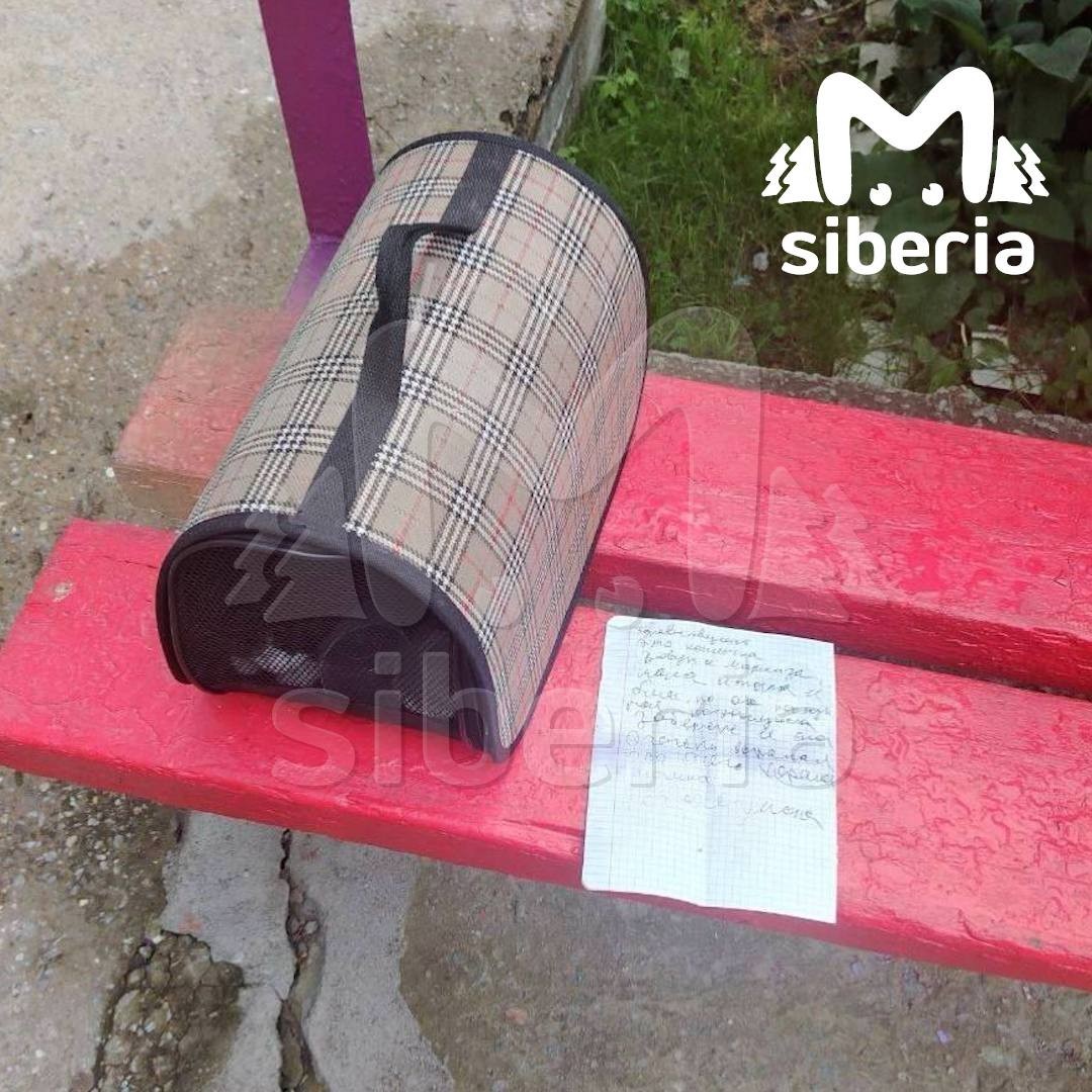 Ребёнок оставил свою кошку на лавочке в Новосибирске. Так он защитил её от избиений.