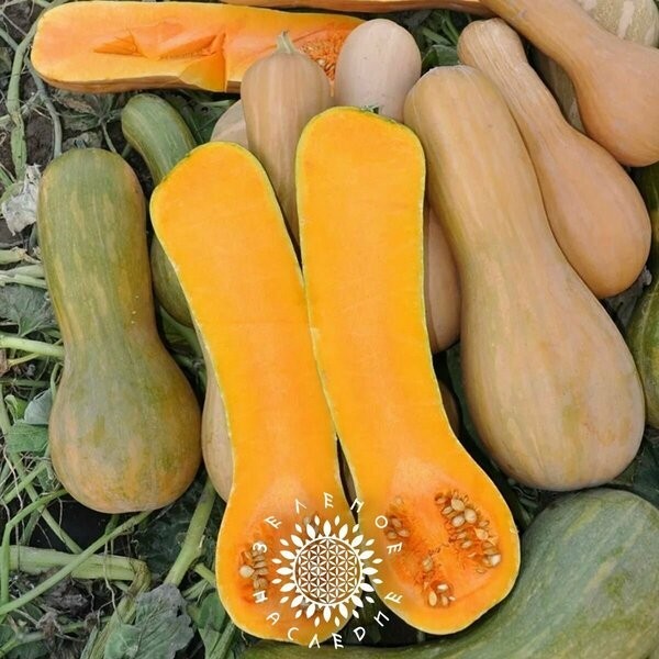 Что нужно мужчине 40+ или я Не ищу женщину