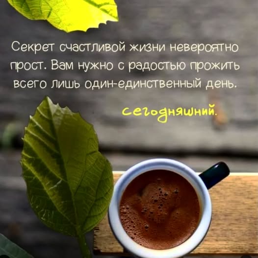 Картинки для деградации 133 (разной степени свежести)