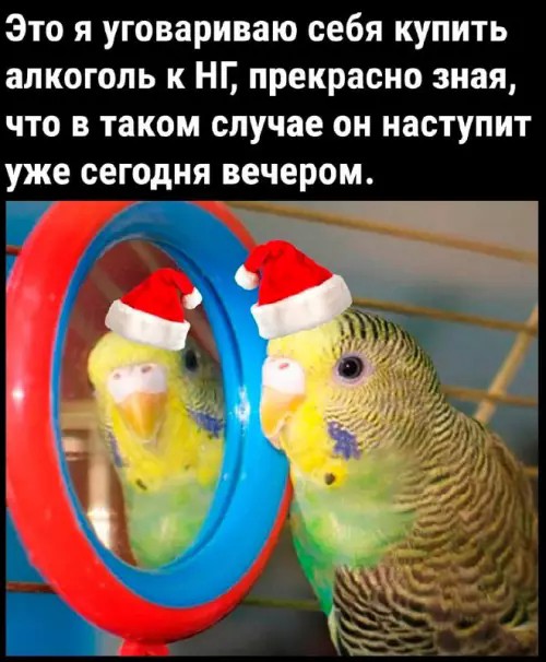 Картиночки, баянчики 13 апреля