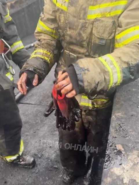Песков уточнил позицию Кремля по ситуации вокруг пожара в Туапсе