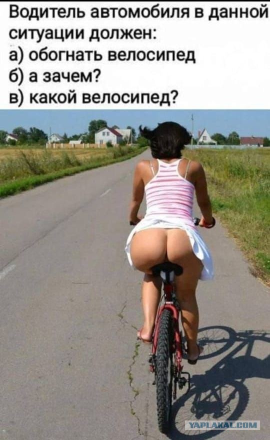 Забавные и не очень скромные картинки - 32