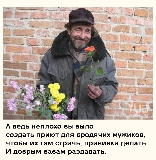 Картинки для деградации 202 (разной степени свежести)