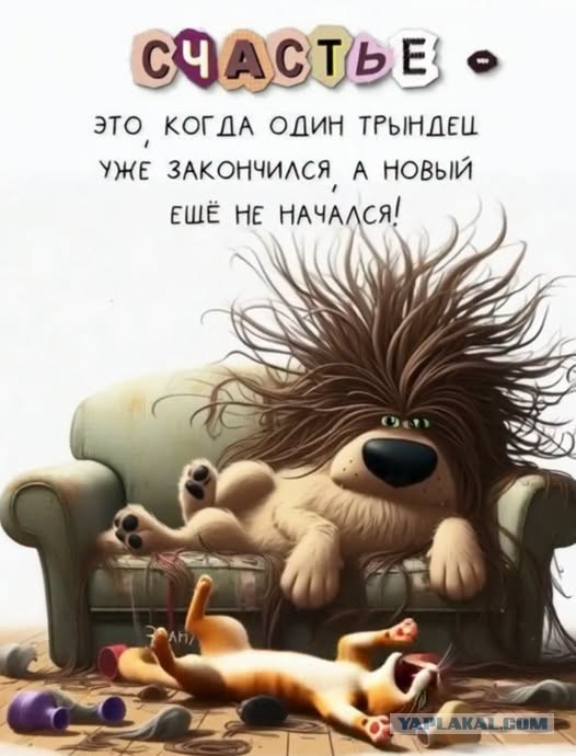 Картинки для деградации 239 (разной степени свежести)