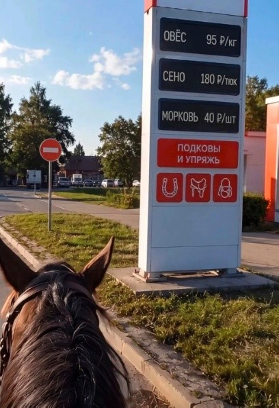 Так себе картинки 07.09.26