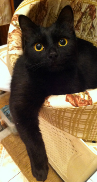 В ночь с 28 февраля на 1 марта. Без предупреждения