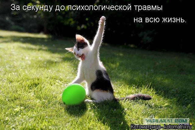 За секунду до..