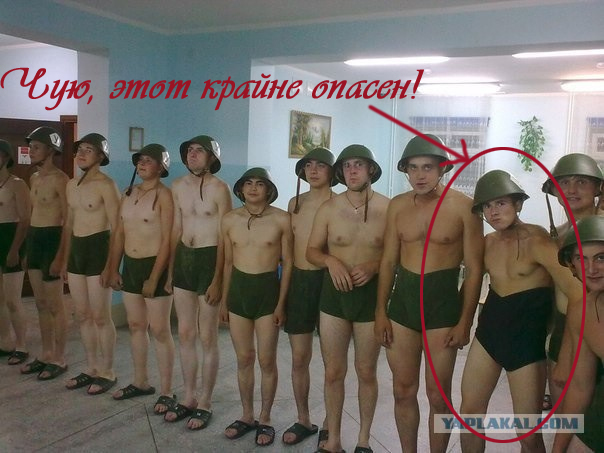 Грибные войска