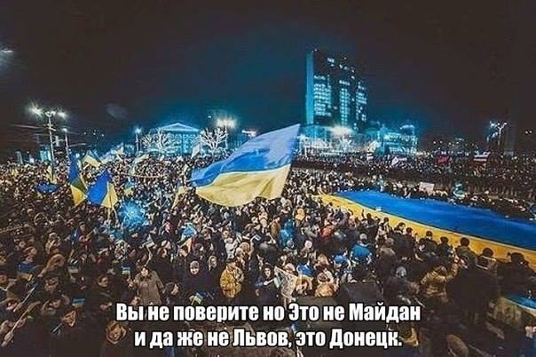 Собака-сепаратяка из Славянска