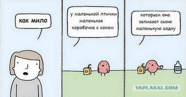 Комментарии из Соцсетей