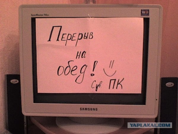 Пинганул не вовремя