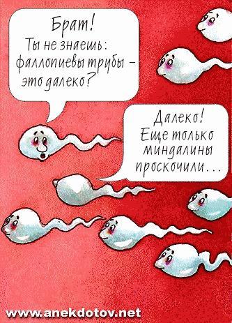 Веселое из сети