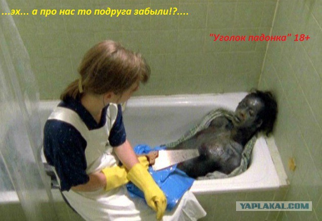 Набор "Начинающий ЯПер"!