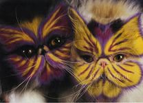 Пандакотинум