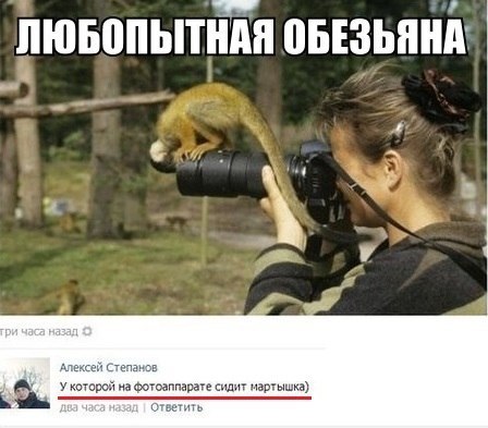 Ужасы и приколы из соцсетей 18+