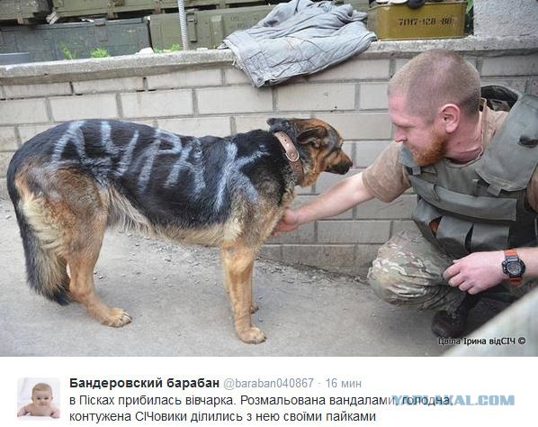 Перемирие кончилось, едва начавшись. Часть 10