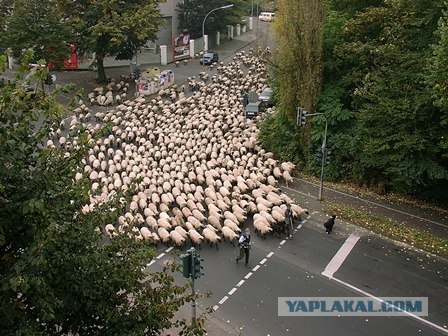 Когда вы минусуете уже заминусованного