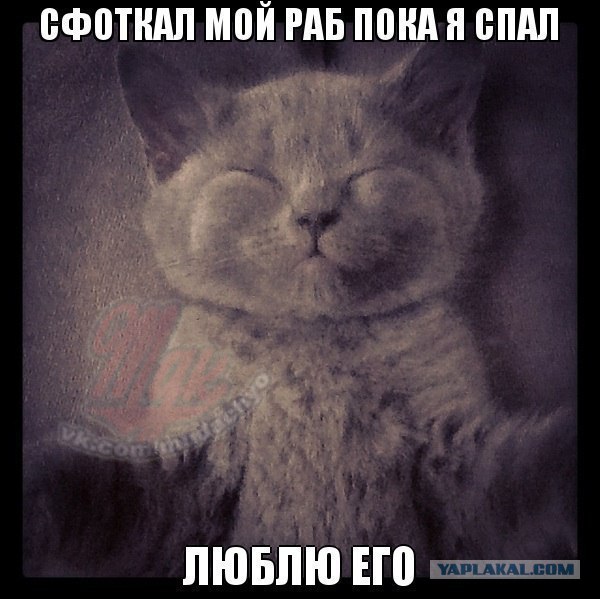 Cфотал пока спала