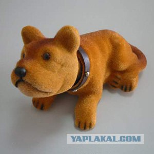 Только что купил щенка...