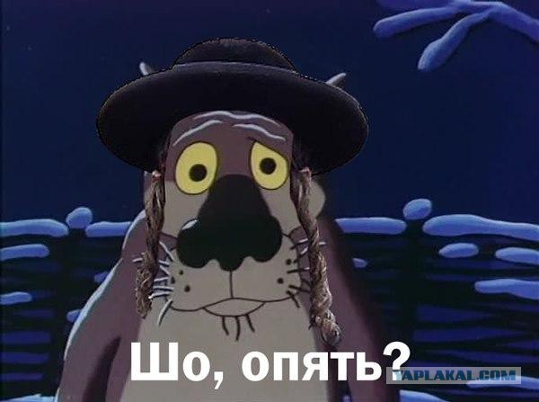 Депутаты фракции "Яблоко" предлагают штрафовать