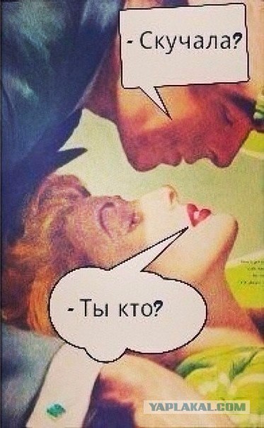 Плюшкиным посвящается