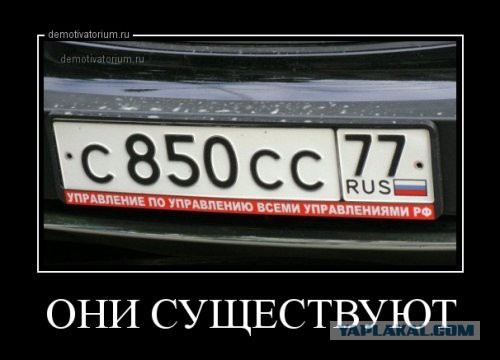 Подборка прикольных фото на пятницу