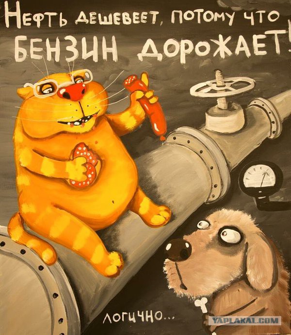 Центробанк поднял курсы евро и доллара на 2 рубля