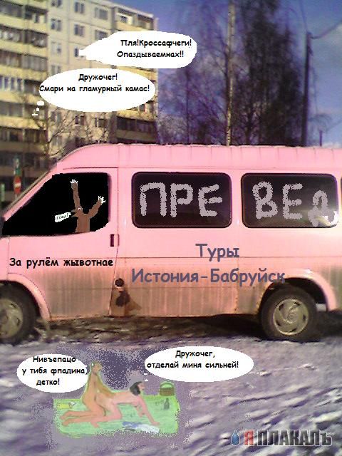 Превед медвед!