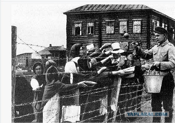 Финские листовки для советских солдат в Зимнюю войну